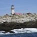 lighthouse_island_seal_machias_v_2235_can1353.jpg